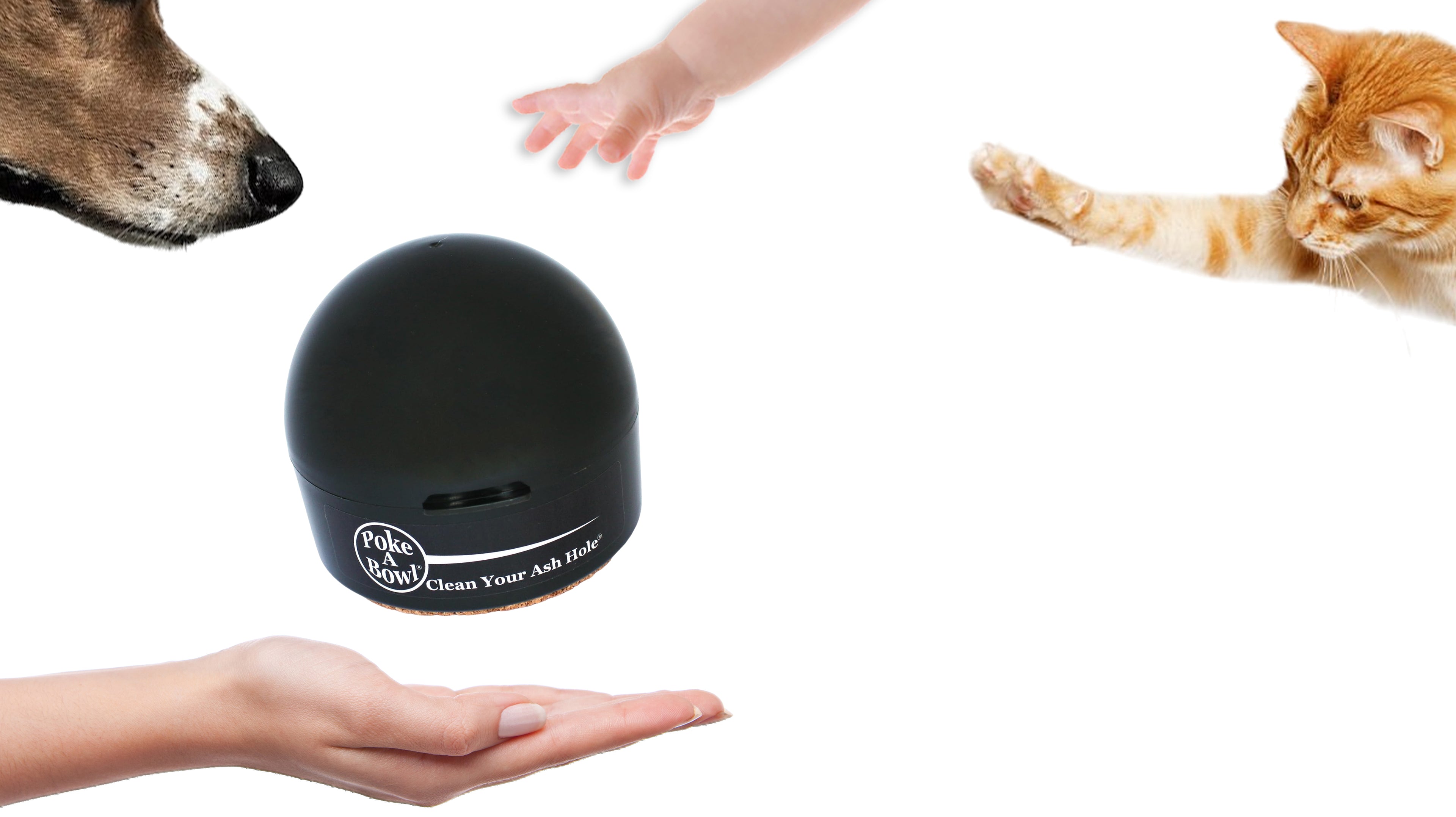 black ashtray with lid around a child cat and dog emphasizing its secure closure for everyday use